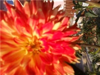 3d3d7102-Fotografija218.jpg