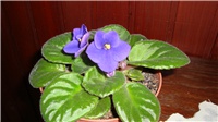 3d5d6b15-DSC00136.JPG