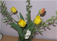 3e0fa3fb-tulipani.jpg