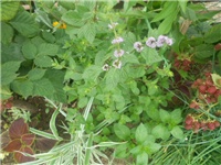 3ed44f81-DSCN0845.JPG