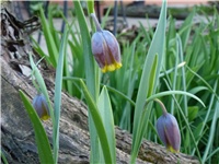 40958cc7-P1040291.JPG