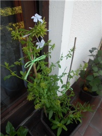 4176f4aa-DSCN0820.JPG