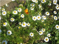 42649996-IMG_3899.jpg