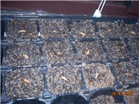 433cbd96-DSCN0267.JPG