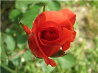 43d86274-14.05_037.jpg