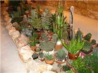 441e74ed-IMG_2765.jpg