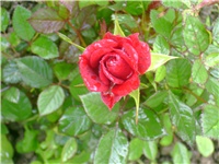 449d0ebd-DSC03416.JPG