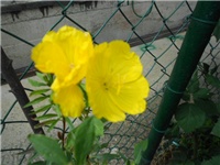 453a8d72-DSCN0983.JPG