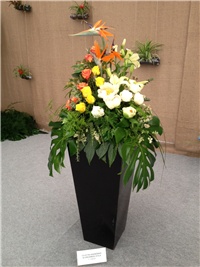 45544931-IMG_0776.JPG