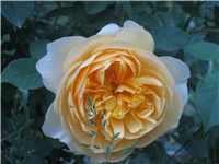 45682f51-IMG_0568.jpg