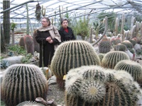 45c7c0db-IMG_0244.JPG