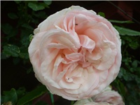 45f257db-P1010013.JPG