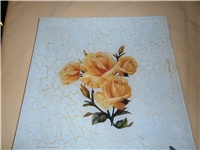 46873e14-PC090140.JPG