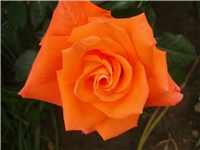 474bbdb7-P9280029.JPG