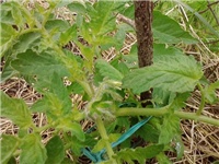 47b4acc9-P140514_13.03.jpg
