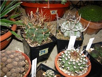 47dee57d-IMG_2727.jpg