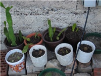 4821a041-sshot-2012-07-19-19-32-36.jpg