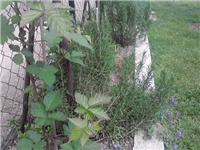484dd22f-P190414_13.26.jpg
