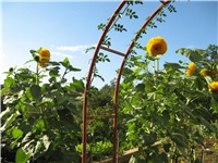 48596a32-IMG_0055.JPG