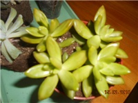 4869d422-DSCN2727.JPG