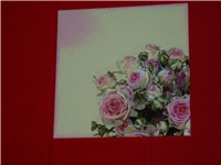 489ed602-P1100273.JPG