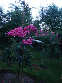 4ab6e739-DSC08010.JPG