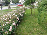 4cb47bc2-20150524_135306.jpg