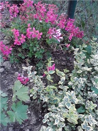 4cc8f9dd-P150614_17.09.jpg