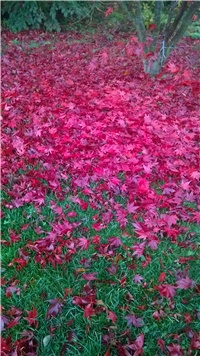 4cee0e13-WP_20171119_001.jpg