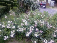 4d721eed-P13-06-10_19.172.jpg