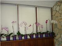 4e414efd-DSC05707.JPG