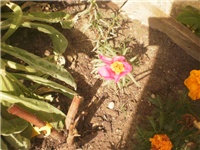 5026b1cd-P6091199.JPG
