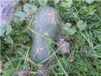 503a1798-DSCN2025.JPG