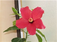 507cbb59-sshot-2012-10-25-12-01-35.jpg