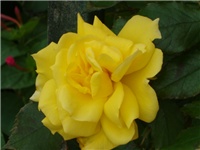 50a291ba-024.JPG