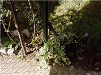 52ae9882-P210614_15.48.jpg