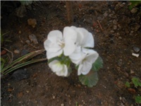 53786bd8-DSCN0751.JPG