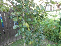 53aace73-DSCN1233.JPG