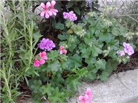 53b6fe44-P210614_16.19_03.jpg