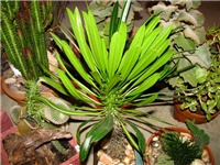 544d3d10-IMG_2720.jpg