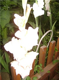 545303a4-DSC00380.JPG