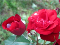 545c145d-IMG_0758.jpg