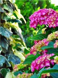 5496ff9a-DSC07874.JPG
