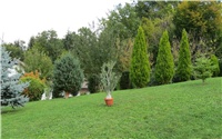55c84760-001.JPG