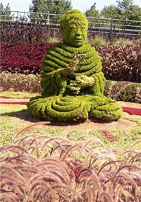 566656ab-f3a5-43f8-bec7-bbf0de12c501-zMC_buddah.jpg
