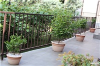 57ab3827-IMG_1355.JPG