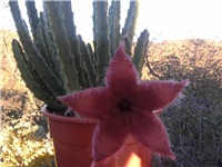 57c0c38b-001.jpg