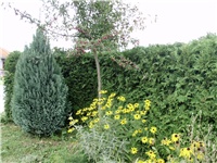 57e5a51c-DSCI2304.JPG