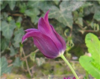 58239f30-sshot-2013-05-04-00-53-19.png