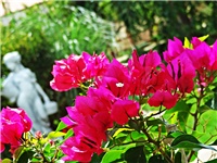 5855d31d-DSC06122.JPG